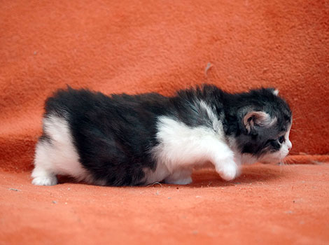 Winnie am 03.04.2026